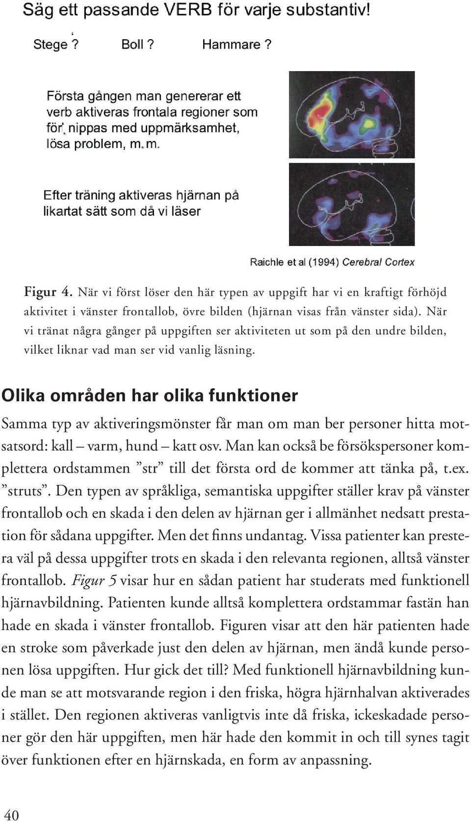 Olika områden har olika funktioner Samma typ av aktiveringsmönster får man om man ber personer hitta motsatsord: kall varm, hund katt osv.