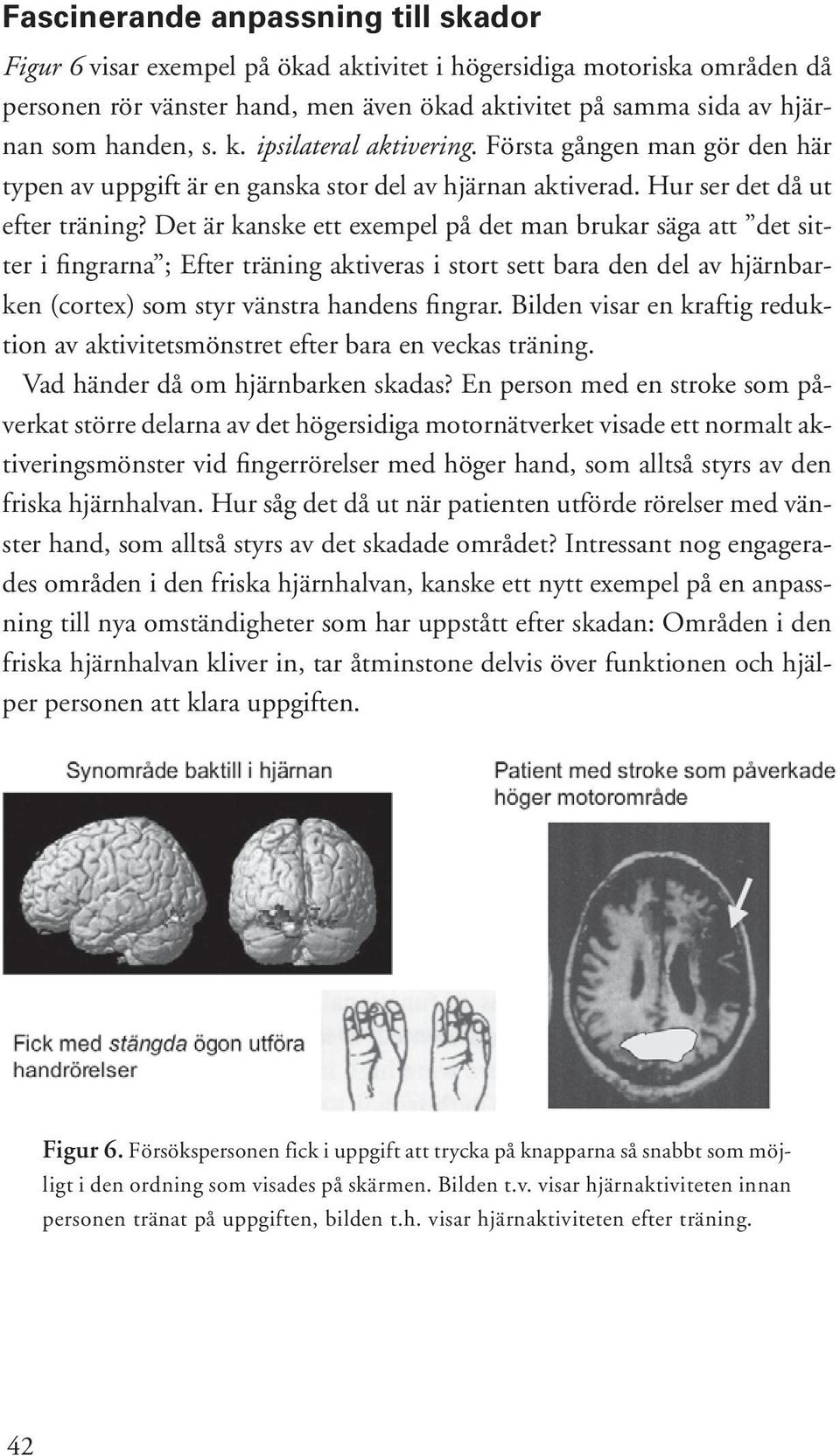 Det är kanske ett exempel på det man brukar säga att det sitter i fingrarna ; Efter träning aktiveras i stort sett bara den del av hjärnbarken (cortex) som styr vänstra handens fingrar.