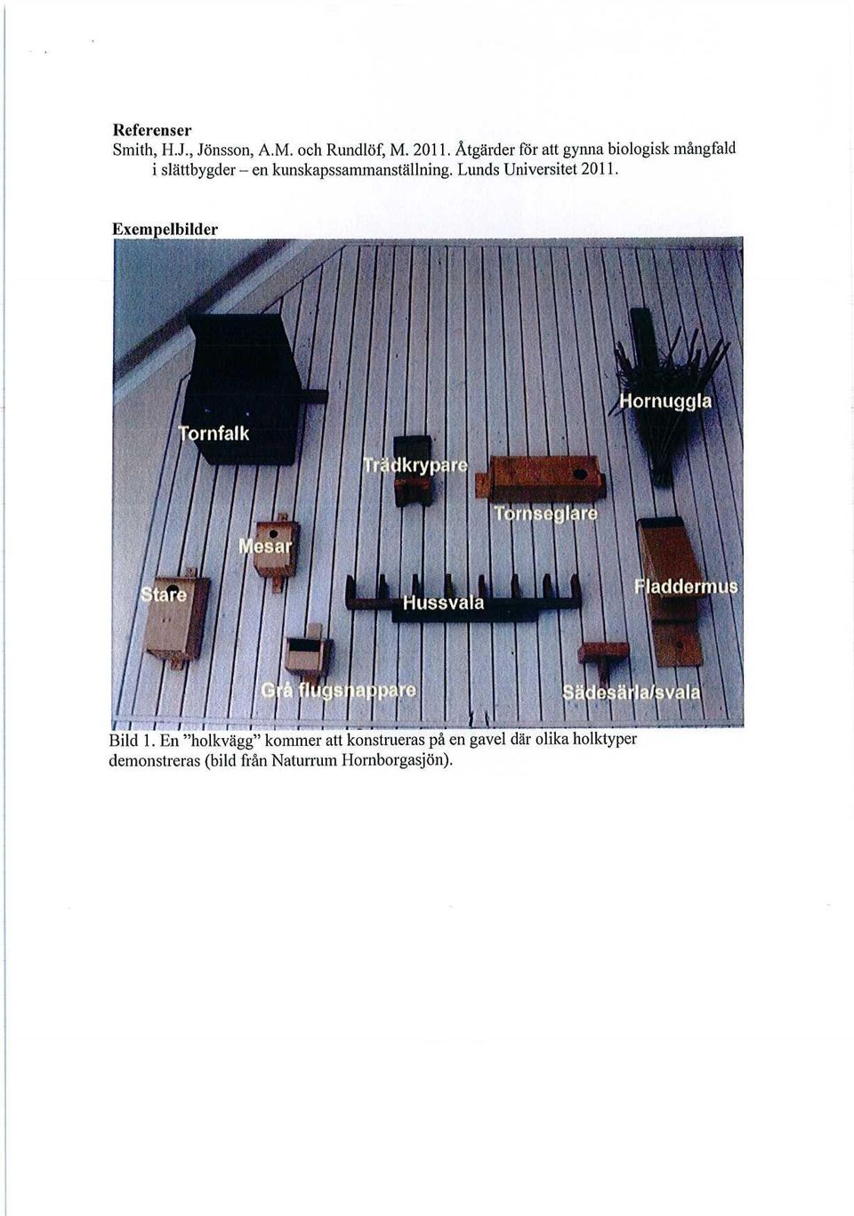 kunskapssammanställning. Lunds Universitet 2011. Bild 1.