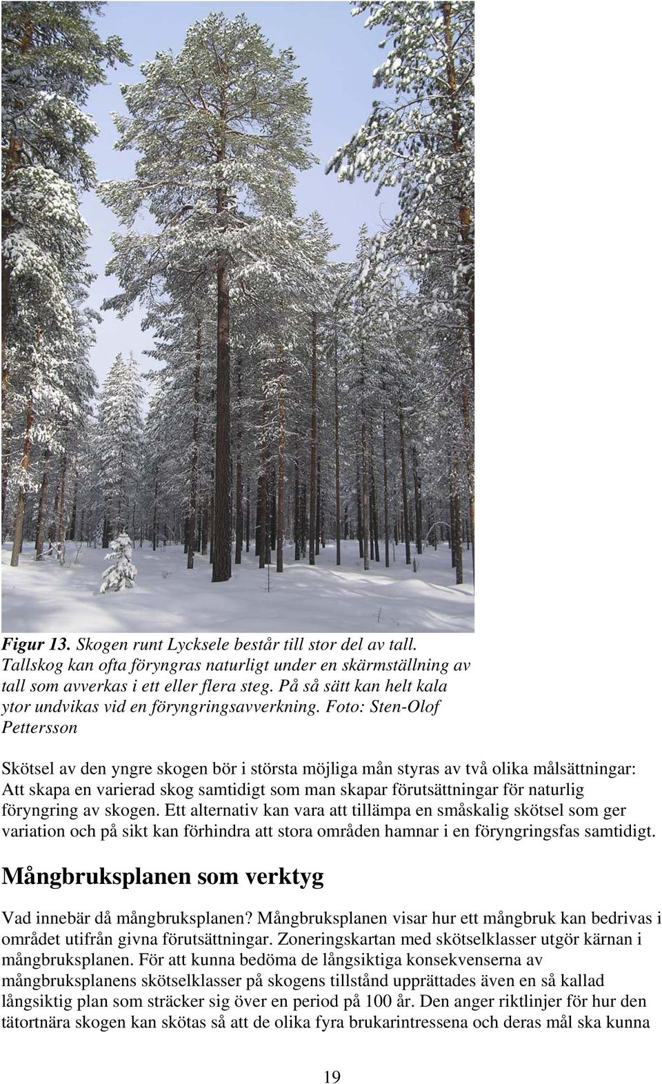 Foto: Sten-Olof Pettersson Skötsel av den yngre skogen bör i största möjliga mån styras av två olika målsättningar: Att skapa en varierad skog samtidigt som man skapar förutsättningar för naturlig