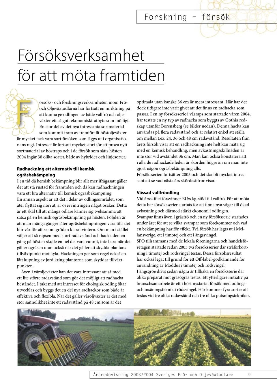 En stor del av det nya intressanta sortmaterial som kommit fram av framförallt höstoljeväxter är mycket tack vara sortförsöken som läggs ut i organisationens regi.