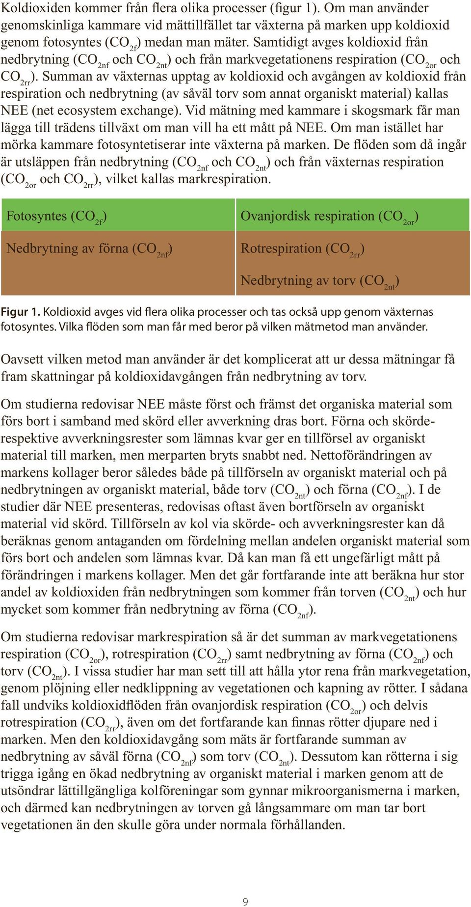 Summan av växternas upptag av koldioxid och avgången av koldioxid från respiration och nedbrytning (av såväl torv som annat organiskt material) kallas NEE (net ecosystem exchange).