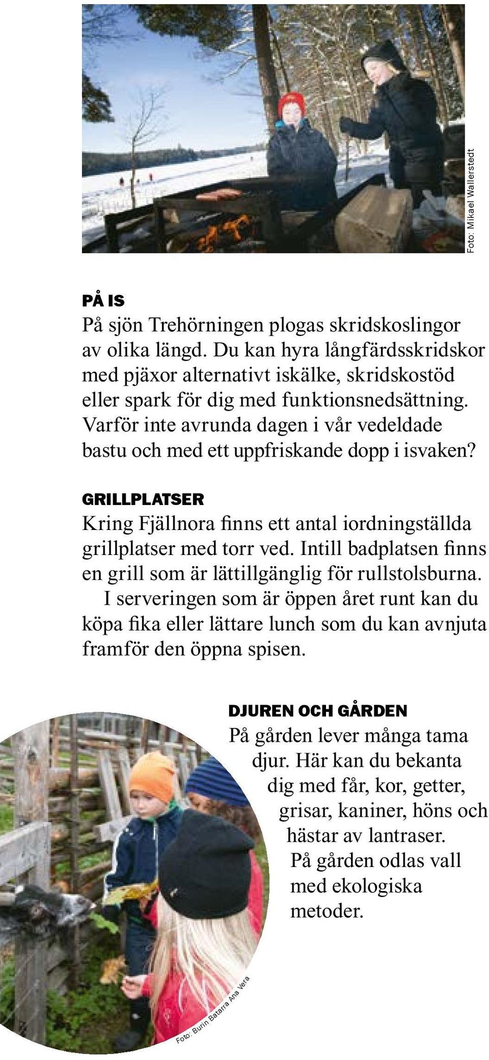 Varför inte avrunda dagen i vår vedeldade bastu och med ett uppfriskande dopp i isvaken? Grillplatser Kring Fjällnora finns ett antal iordningställda grillplatser med torr ved.