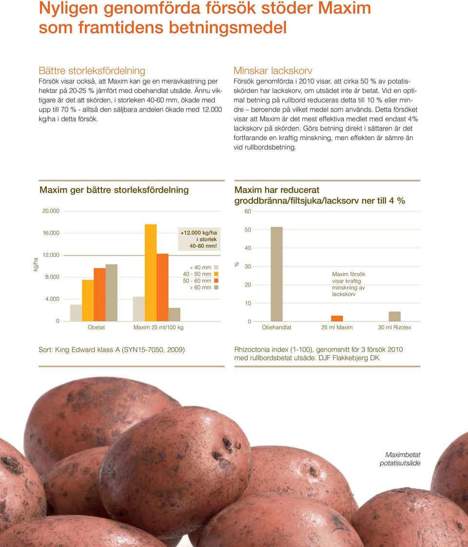Minskar lackskorv Försök genomförda i 2010 visar, att cirka 50 % av potatisskörden har lackskorv, om utsädet inte är betat.