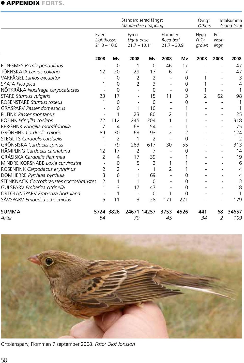 2-0 1-3 SKATA Pica pica 1 0 2 3-0 1-4 NÖTKRÅKA Nucifraga caryocatactes - 0-0 - 0 1-1 STARE Sturnus vulgaris 23 17-15 11 3 2 62 98 ROSENSTARE Sturnus roseus 1 0-0 - 0 - - 1 GRÅSPARV Passer domesticus