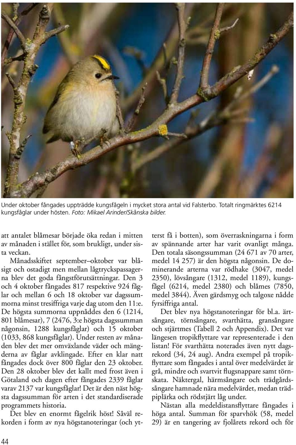 Månadsskiftet september oktober var blåsigt och ostadigt men mellan lågtryckspassagerna blev det goda fångstförutsättningar.