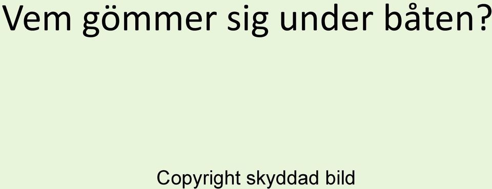 båten?