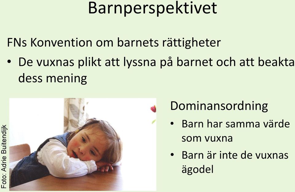 barnet och att beakta dess mening Dominansordning Barn