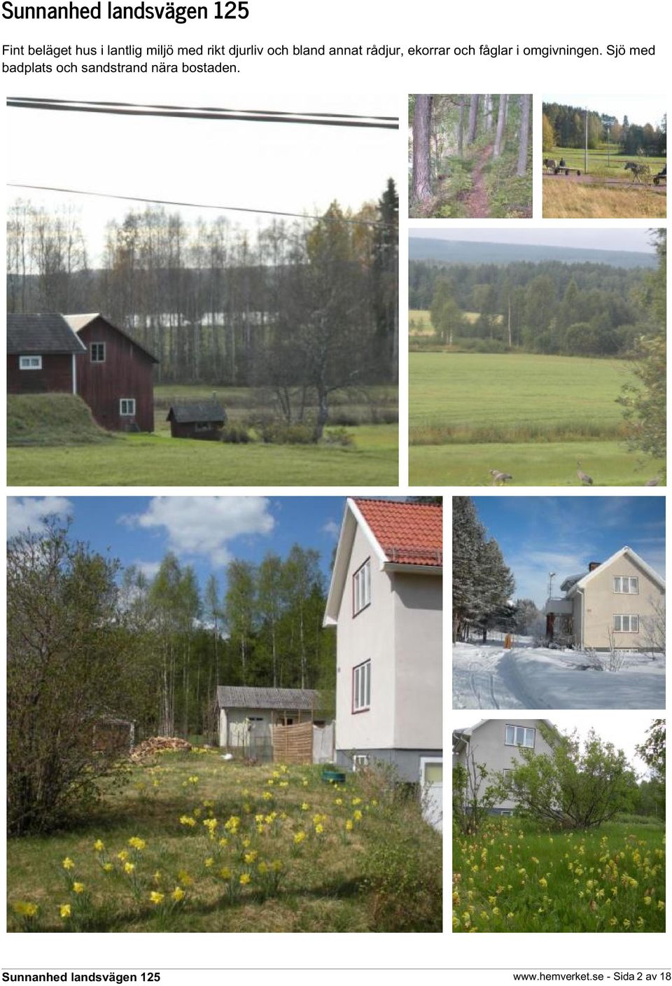 fåglar i omgivningen.