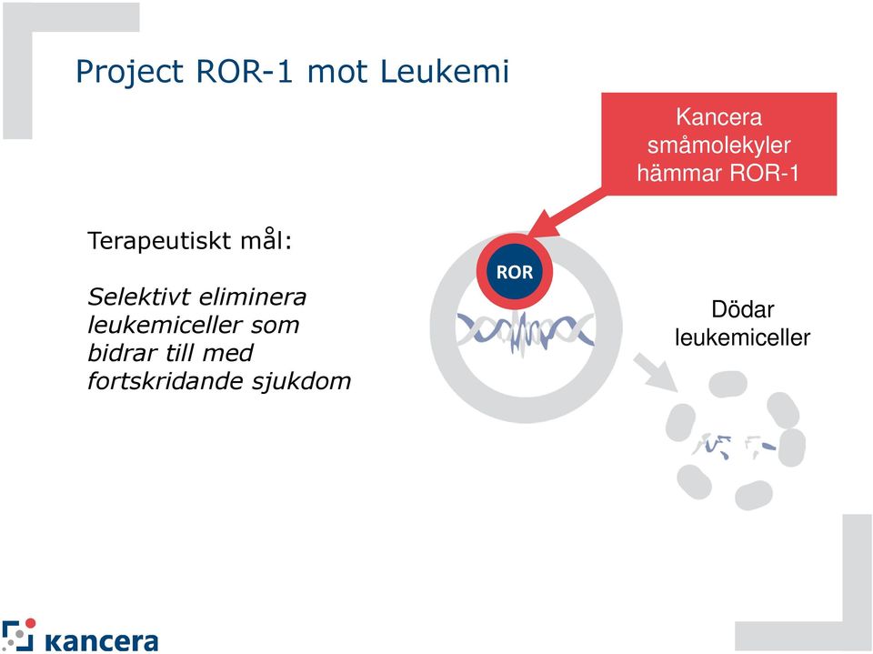 Selektivt eliminera leukemiceller som bidrar