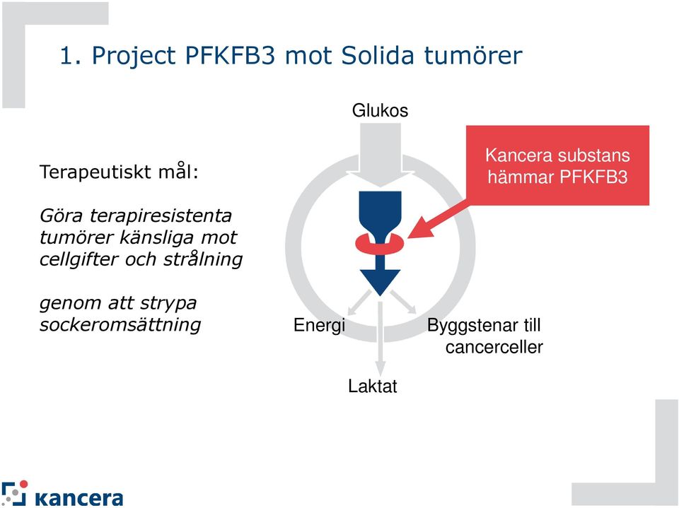 tumörer känsliga mot cellgifter och strålning genom att