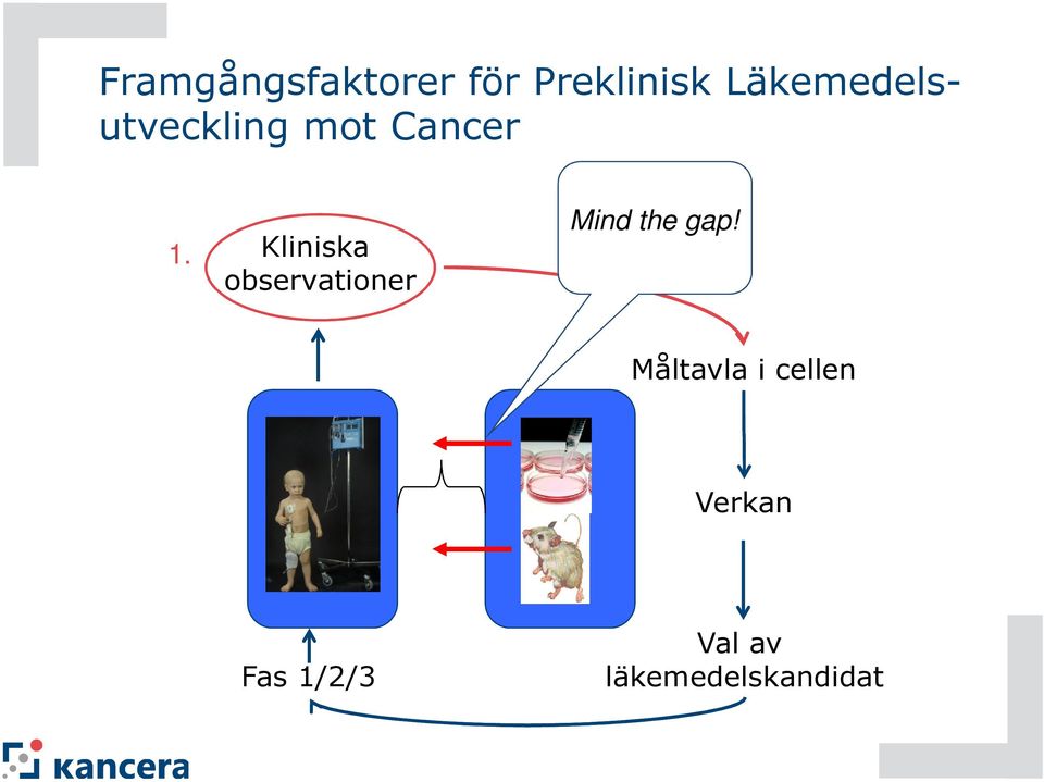 Kliniska observationer Mind the gap!