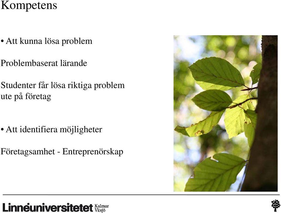 riktiga problem ute på företag Att