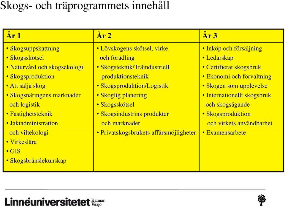 produktionsteknik Skogsproduktion/Logistik Skoglig planering Skogsskötsel Skogsindustrins produkter och marknader Privatskogsbrukets affärsmöjligheter Inköp och