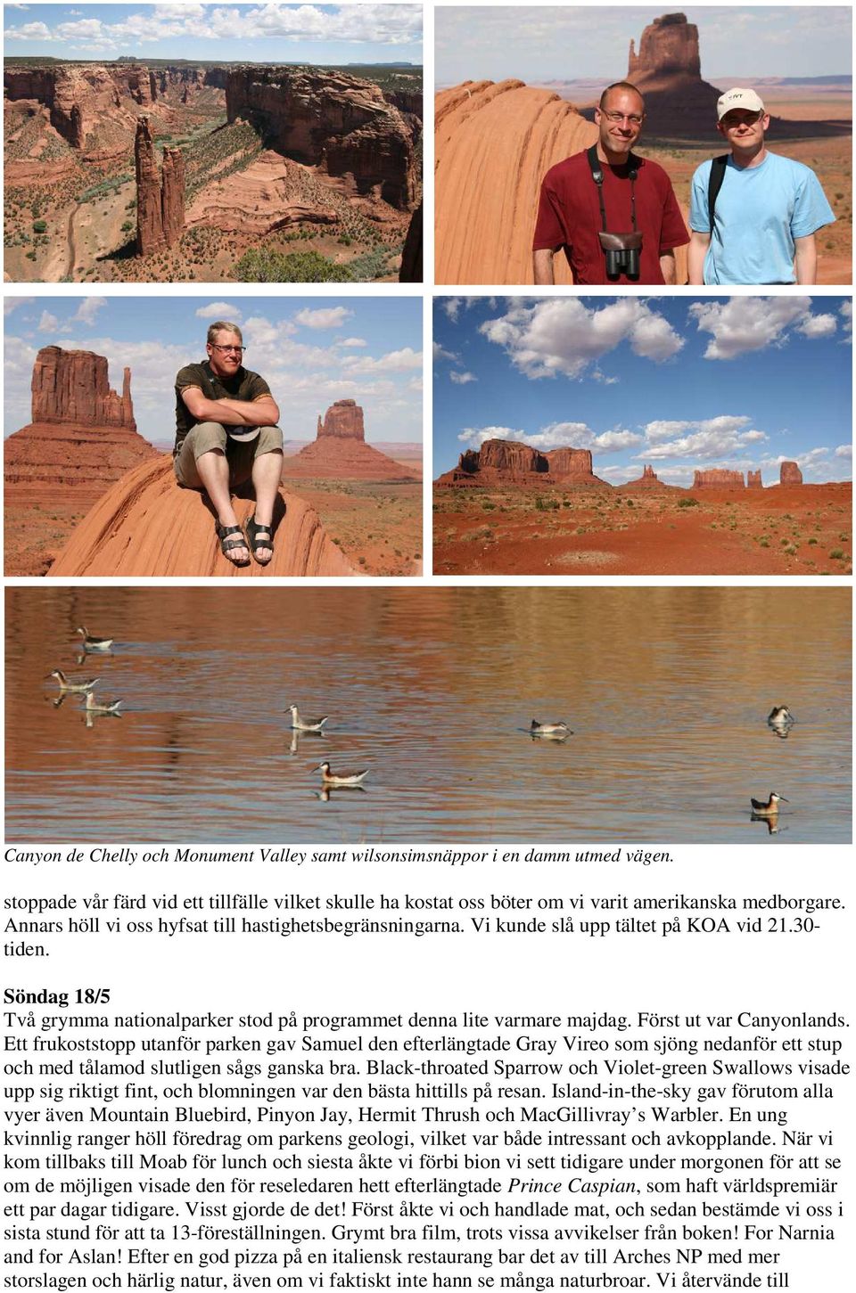 Först ut var Canyonlands. Ett frukoststopp utanför parken gav Samuel den efterlängtade Gray Vireo som sjöng nedanför ett stup och med tålamod slutligen sågs ganska bra.