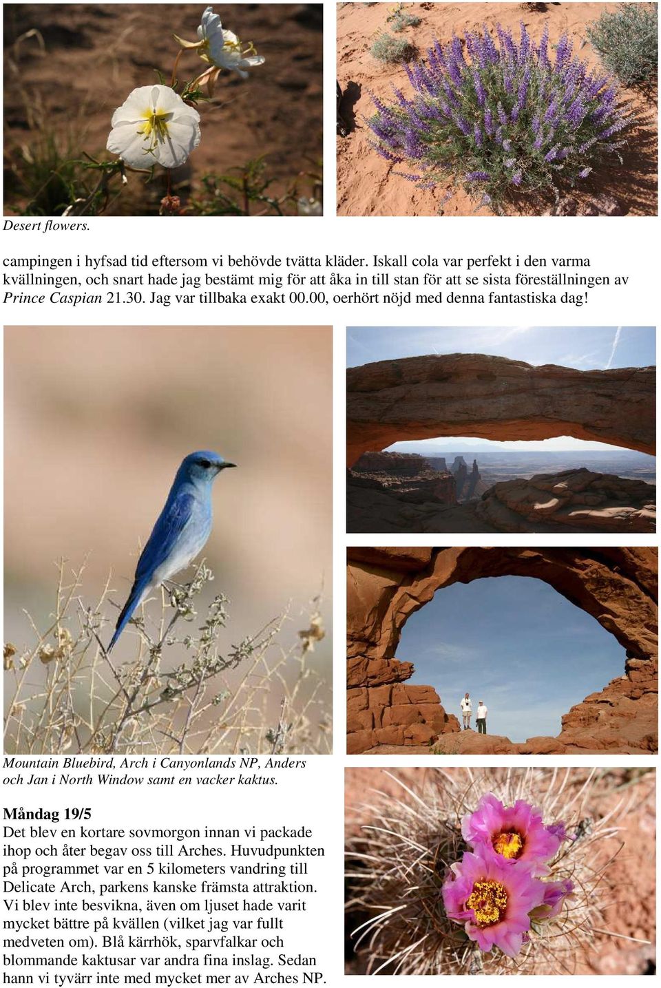 00, oerhört nöjd med denna fantastiska dag! Mountain Bluebird, Arch i Canyonlands NP, Anders och Jan i North Window samt en vacker kaktus.