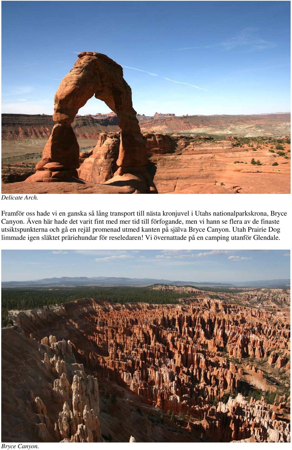 Canyon.