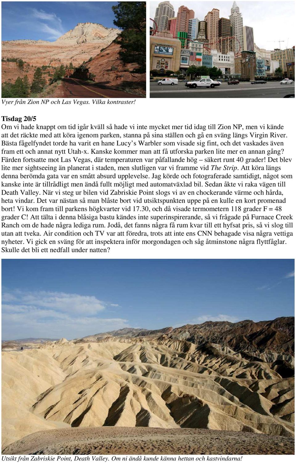 Virgin River. Bästa fågelfyndet torde ha varit en hane Lucy s Warbler som visade sig fint, och det vaskades även fram ett och annat nytt Utah-x.