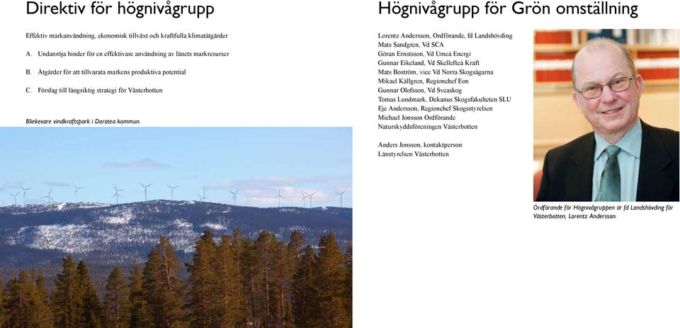 Förslag till långsiktig strategi för Västerbotten Bliekevare vindkraftspark i Dorotea kommun.