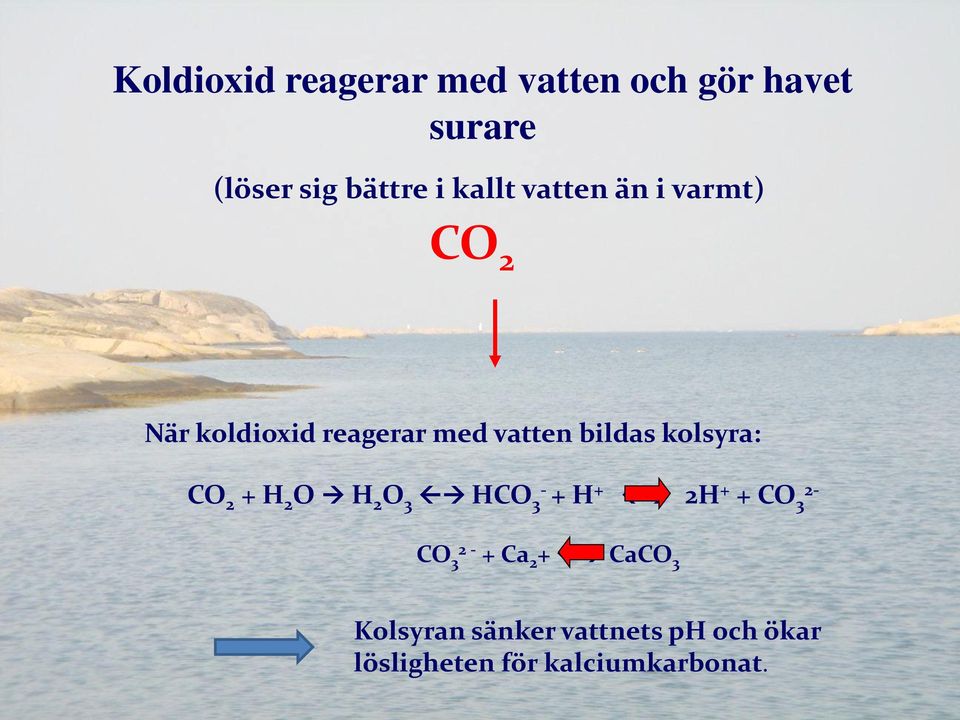 kolsyra: CO 2 + H 2 O H 2 O 3 HCO 3 - + H + 2H + + CO 3 2- CO 3 2 - + Ca