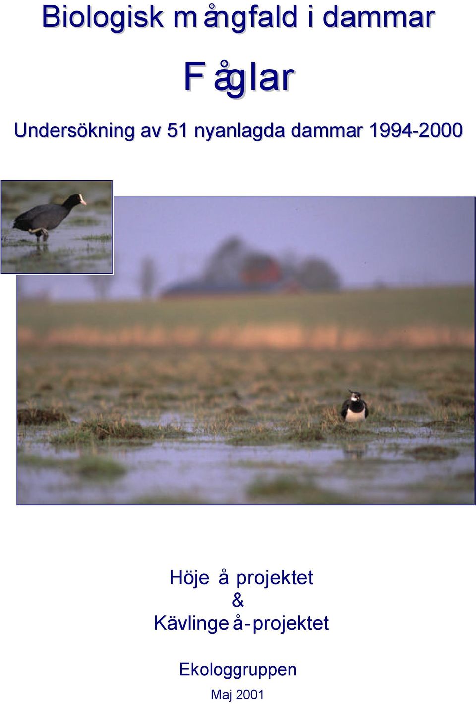 dammar 1994-2000 Höje å projektet &