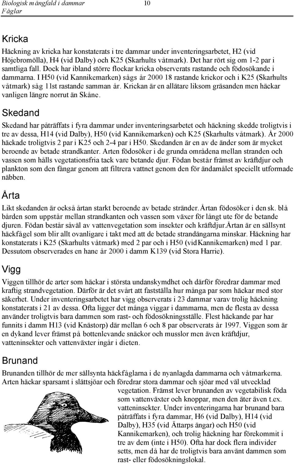 I H50 (vid Kannikemarken) sågs år 2000 18 rastande krickor och i K25 (Skarhults våtmark) såg 11 st rastande samman år.