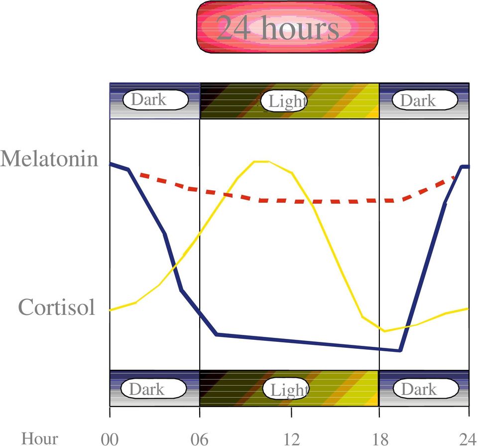 Cortisol Dark Light