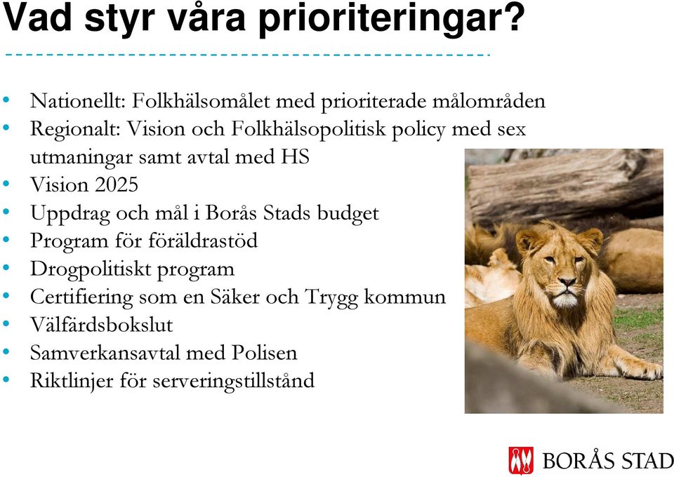 policy med sex utmaningar samt avtal med HS Vision 2025 Uppdrag och mål i Borås Stads budget