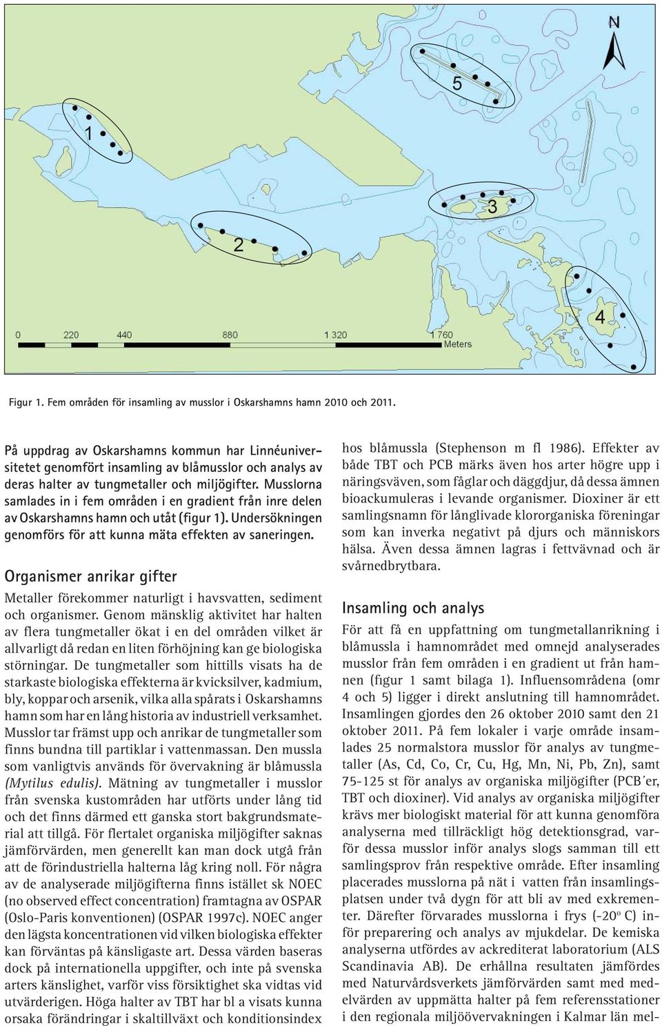 Musslorna samlades in i fem områden i en gradient från inre delen av Oskarshamns hamn och utåt (figur 1). Undersökningen genomförs för att kunna mäta effekten av saneringen.