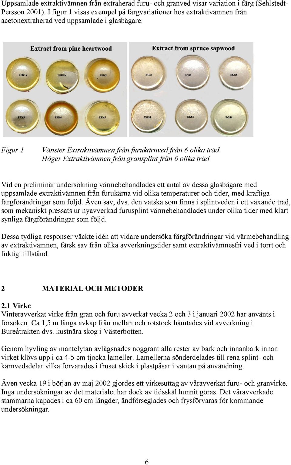 Figur 1 Vänster Extraktivämnen från furukärnved från 6 olika träd Höger Extraktivämnen från gransplint från 6 olika träd Vid en preliminär undersökning värmebehandlades ett antal av dessa glasbägare