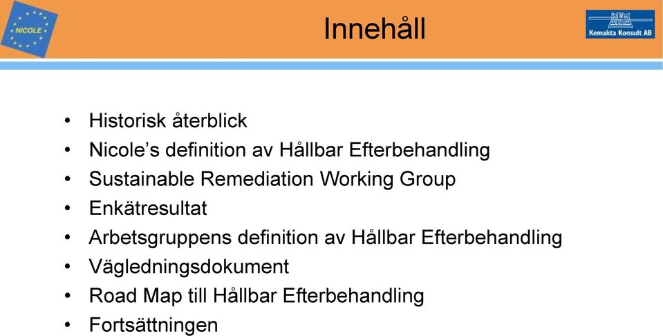 Enkätresultat Arbetsgruppens definition av Hållbar