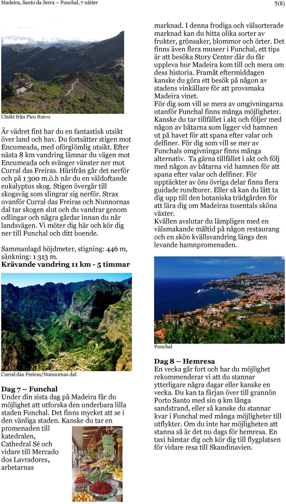 Stigen övergår till skogsväg som slingrar sig nerför. Strax ovanför Curral das Freiras och Nunnornas dal tar skogen slut och du vandrar genom odlingar och några gårdar innan du når landsvägen.