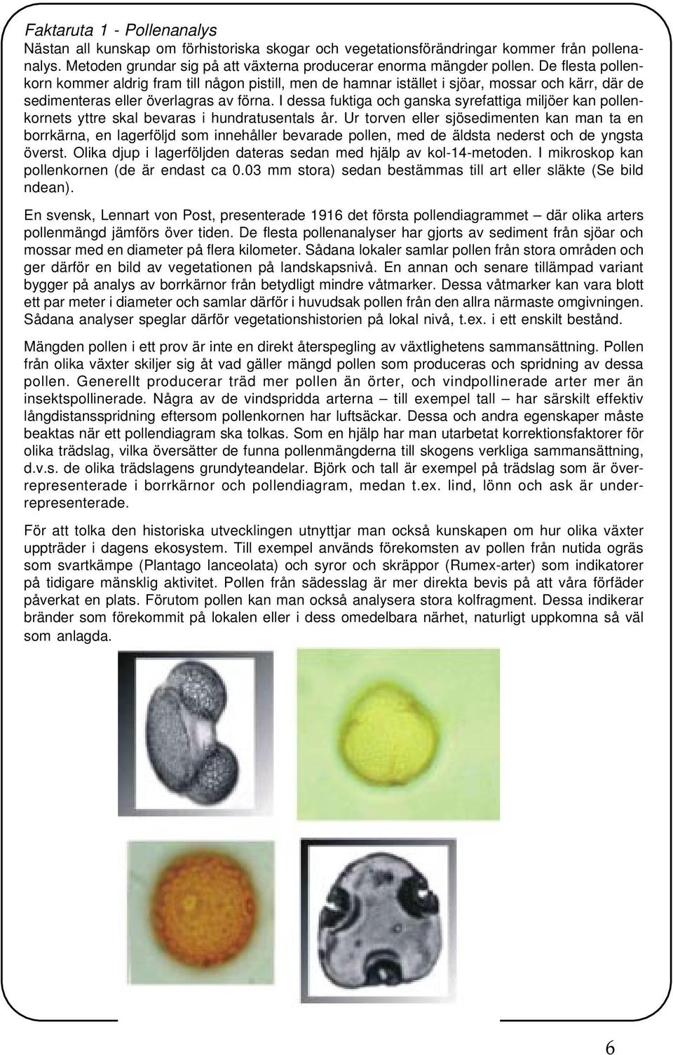 I dessa fuktiga och ganska syrefattiga miljöer kan pollenkornets yttre skal bevaras i hundratusentals år.