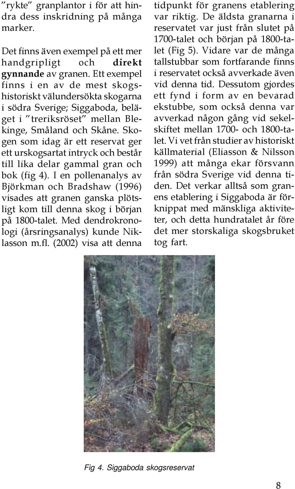 Skogen som idag är ett reservat ger ett urskogsartat intryck och består till lika delar gammal gran och bok (fig 4).