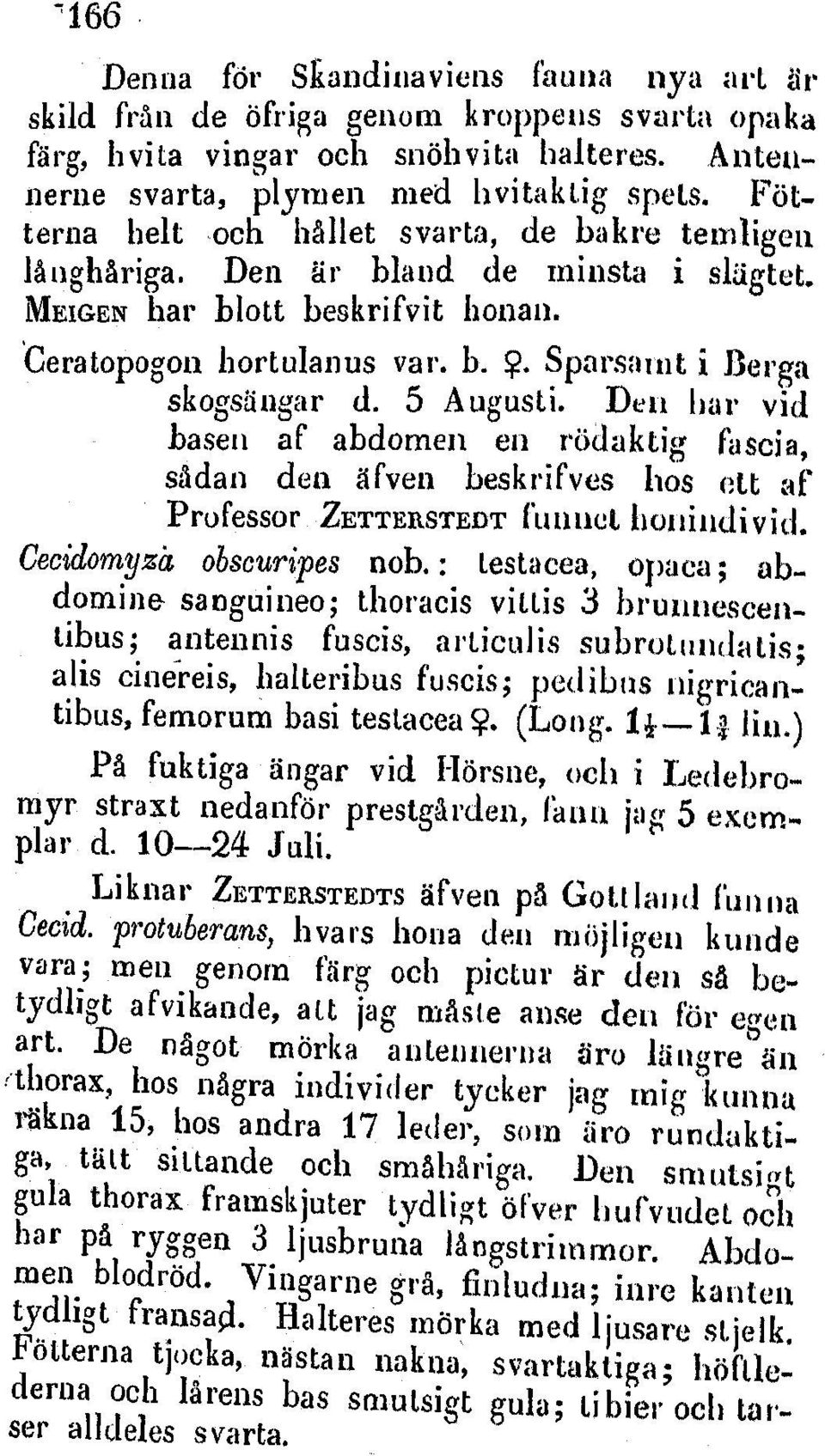 5 Augusti. Den bar vid baseni af abdomen en r idaktig fascia, sidan den Afven beskrifves hos ett af Professor ZETTERSTEDT fuinuct honiijdi v id. Cecidomyza obscuripes nob.