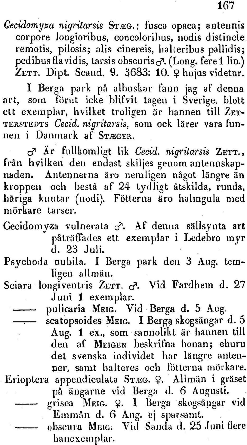 I Berga park pci albuskar faun jag af denna arn, som fklrut icke blifvil tagen i Sverige, blott Uti exemplar, hvilket troligen air hannen till ZET- TFRSTEDTS Cecid.
