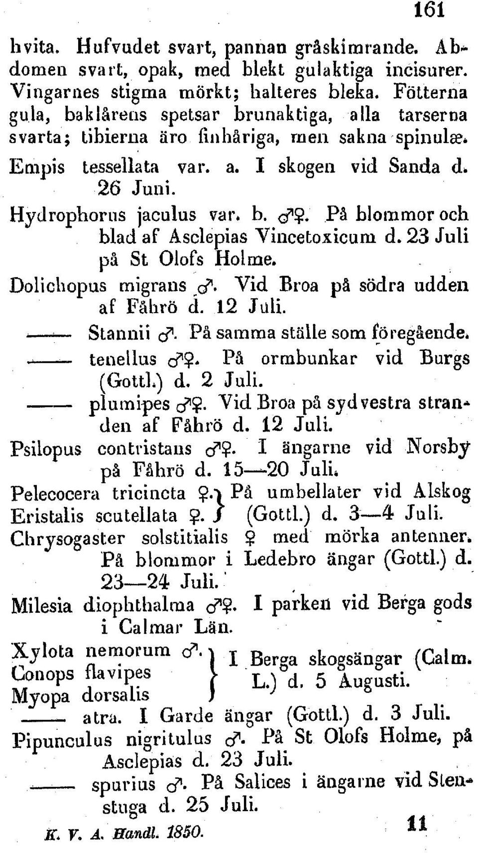 PA blomimoroch blad af Asclepias Vincetoxicum d. 23 Juli p& St Olofs Holrne. Dolichopus migrans e. Vid Broa pa sodra udden af Fklbrb d. 12 Juli. Staunii i.