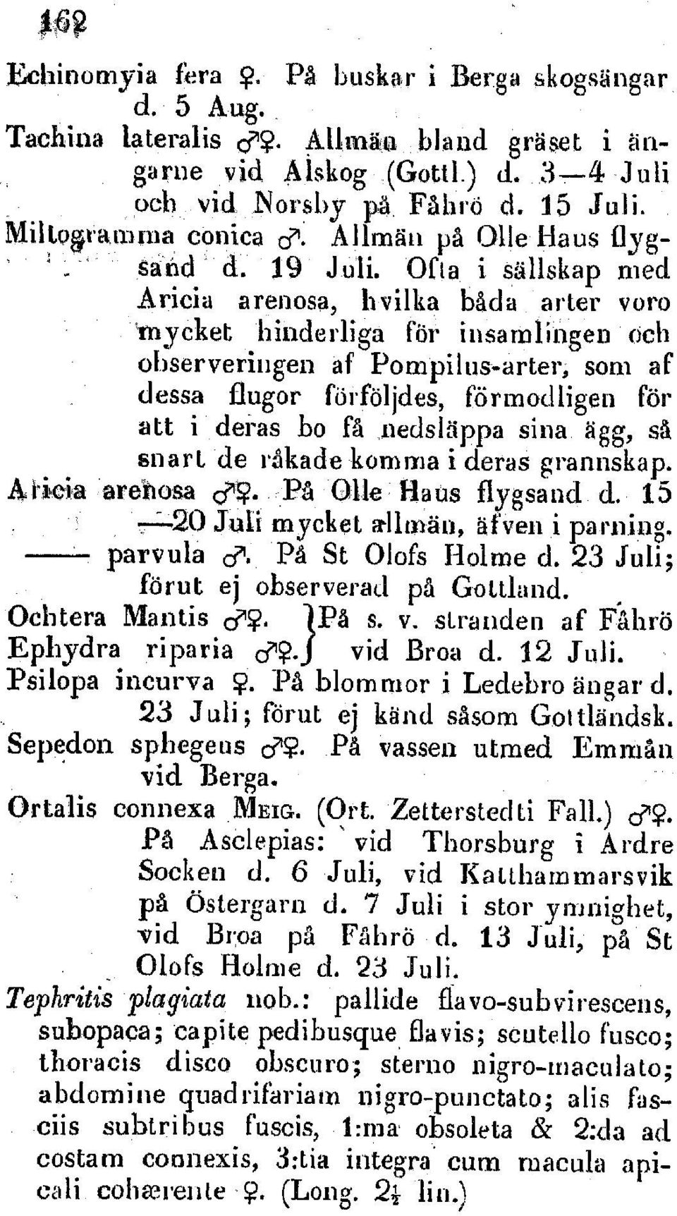 OOfta i s85llskap rued Aricia arenosa, hvilka bada arter voro rnycket hinderliga foi i nsarl ingendci oibserverilngen af Porupiltus-arter, som af dessa flugor fbrfbljdes, fdrmodfigen f6r att i deras