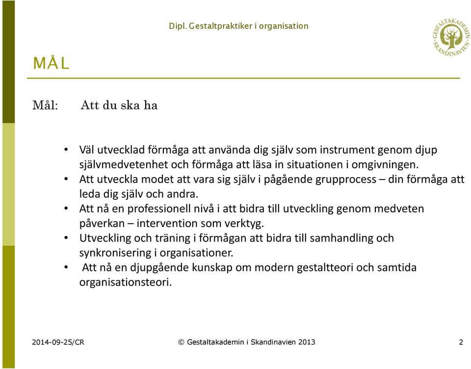 Att nå en professionell nivå i att bidra till utveckling genom medveten påverkan intervention som verktyg.