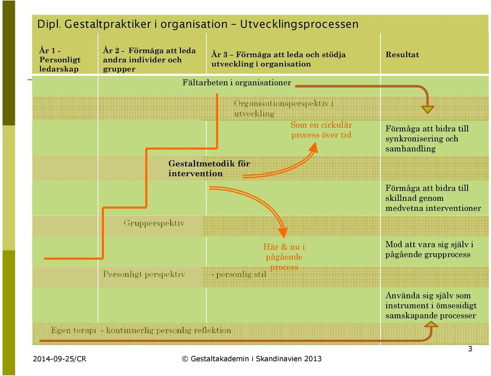 synkronisering och samhandling Förmåga att bidra till skillnad genom medvetna interventioner Personligt perspektiv Här&nui pågående process - personlig stil