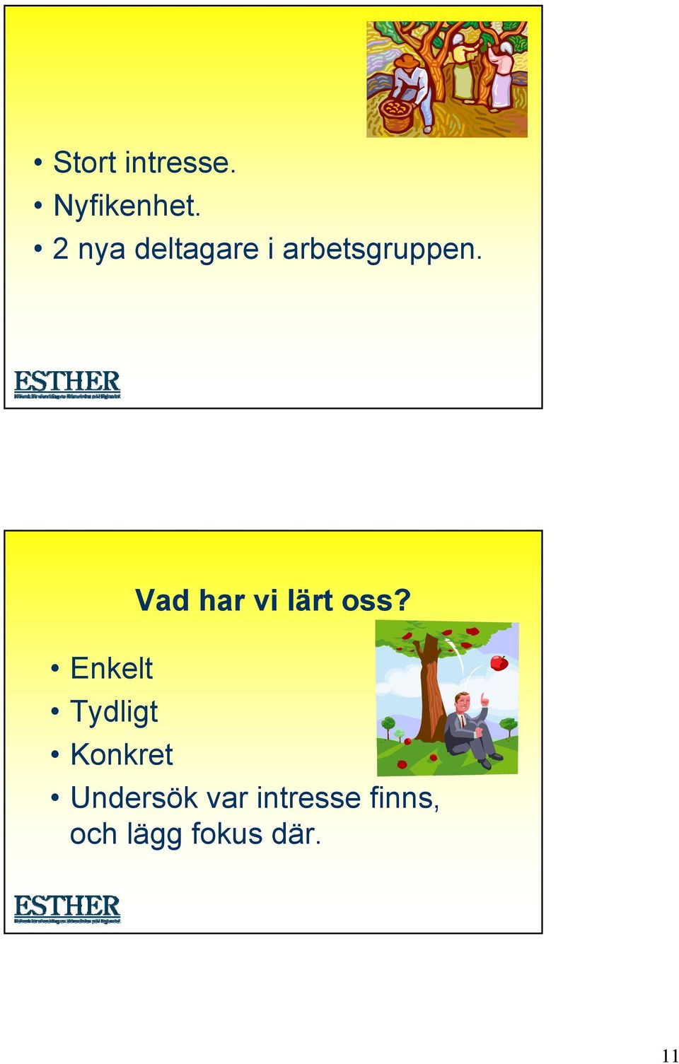 Vad har vi lärt oss?