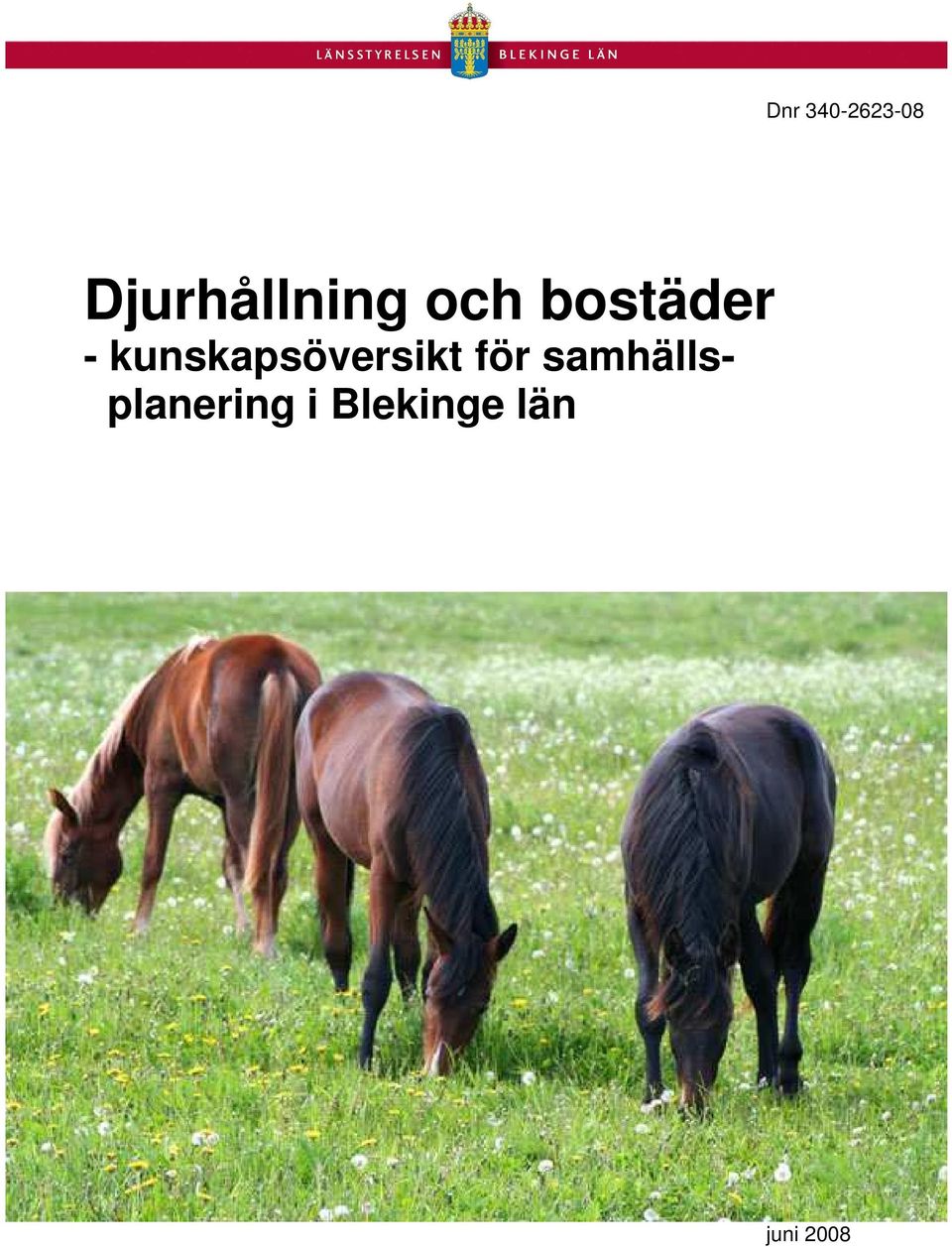 - kunskapsöversikt för