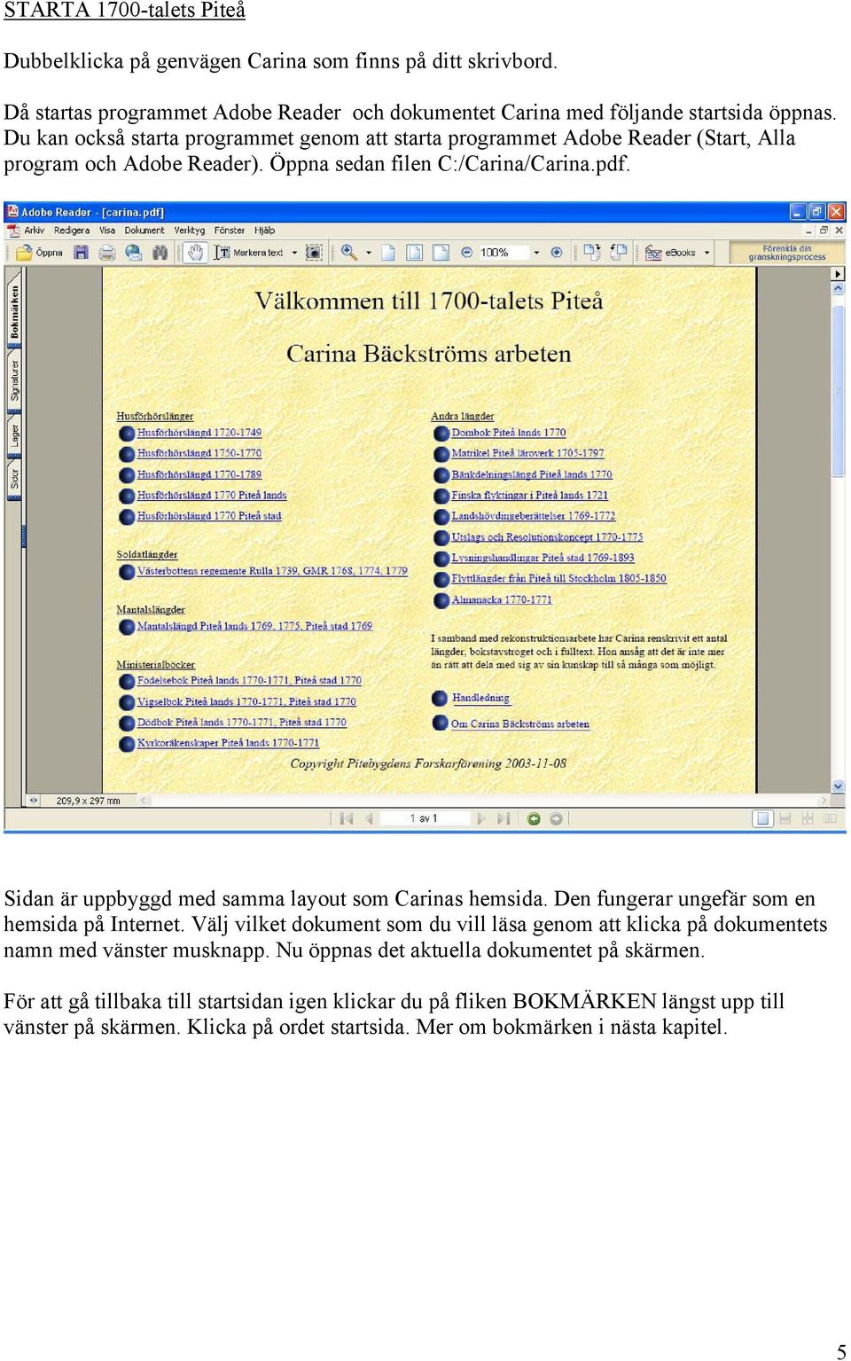 Sidan är uppbyggd med samma layout som Carinas hemsida. Den fungerar ungefär som en hemsida på Internet.