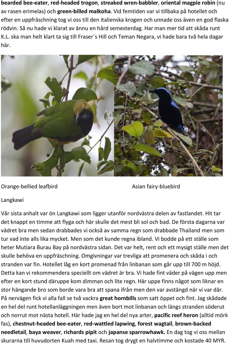 Har man mer tid att skåda runt K.L. ska man helt klart ta sig till Fraser s Hill och Teman Negara, vi hade bara två hela dagar här.