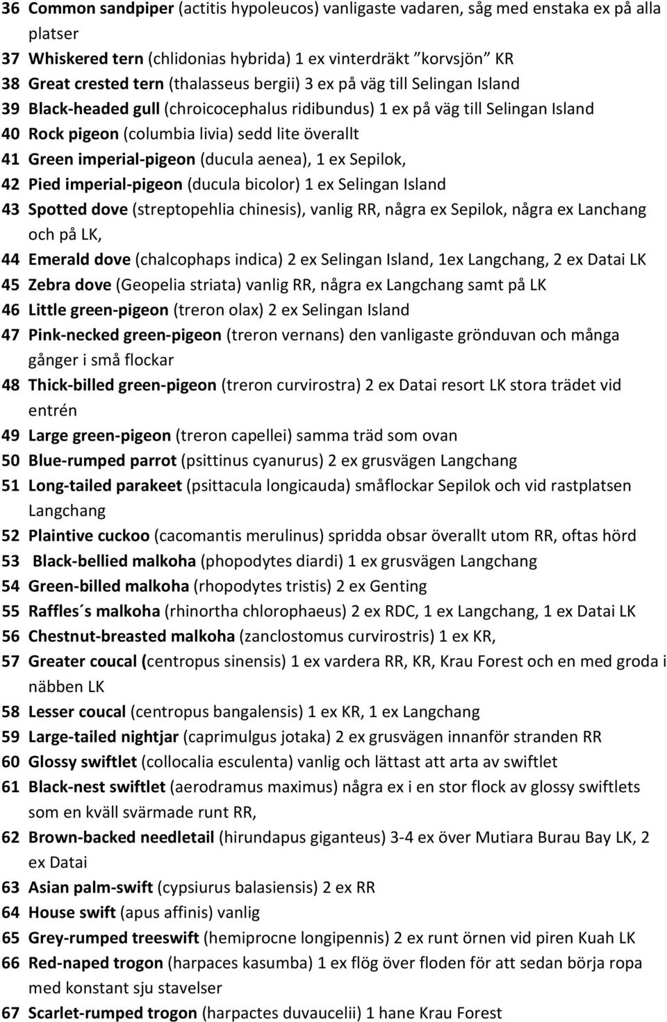 (ducula aenea), 1 ex Sepilok, 42 Pied imperial-pigeon (ducula bicolor) 1 ex Selingan Island 43 Spotted dove (streptopehlia chinesis), vanlig RR, några ex Sepilok, några ex Lanchang och på LK, 44