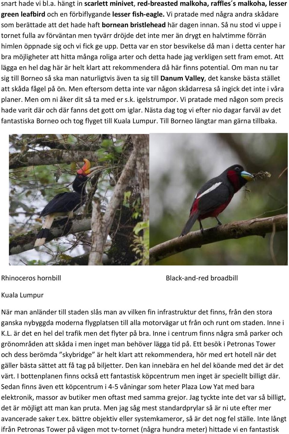 Så nu stod vi uppe i tornet fulla av förväntan men tyvärr dröjde det inte mer än drygt en halvtimme förrän himlen öppnade sig och vi fick ge upp.