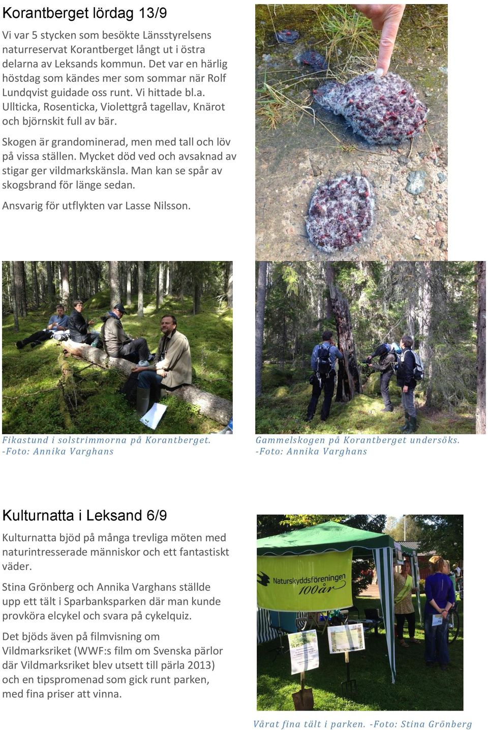 Skogen är grandominerad, men med tall och löv på vissa ställen. Mycket död ved och avsaknad av stigar ger vildmarkskänsla. Man kan se spår av skogsbrand för länge sedan.