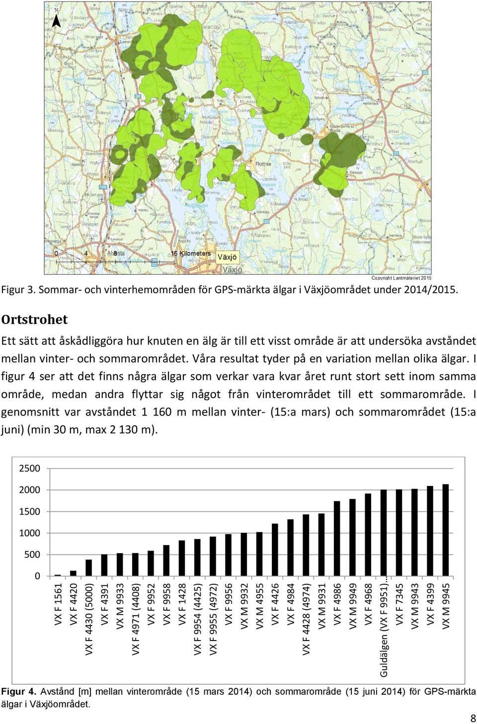 Ortstrohet Ett sätt att åskådliggöra hur knuten en älg är till ett visst område är att undersöka avståndet mellan vinter- och sommarområdet. Våra resultat tyder på en variation mellan olika älgar.