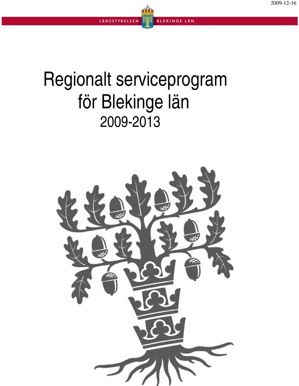 serviceprogram