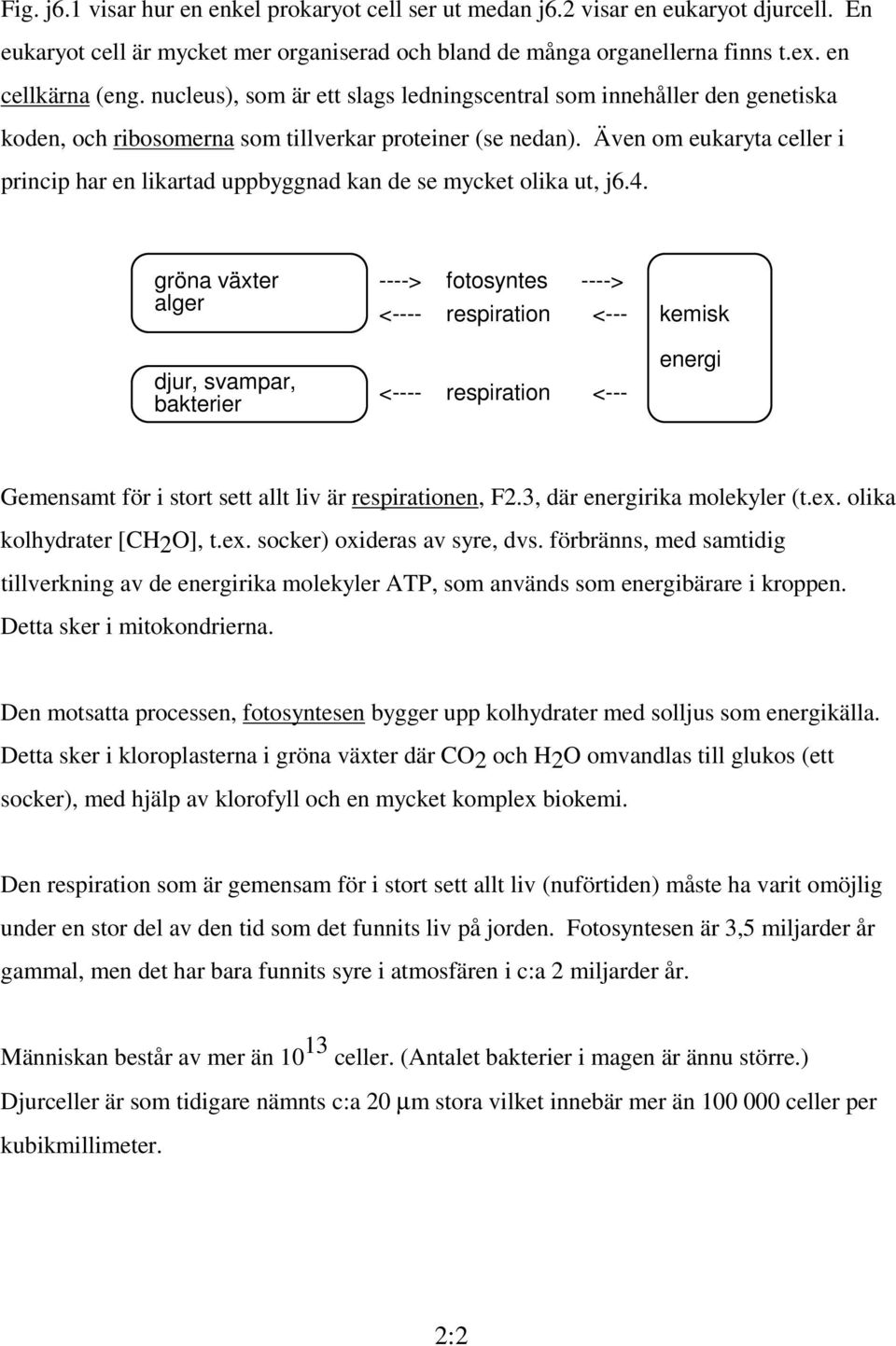 Även om eukaryta celler i princip har en likartad uppbyggnad kan de se mycket olika ut, j6.4.